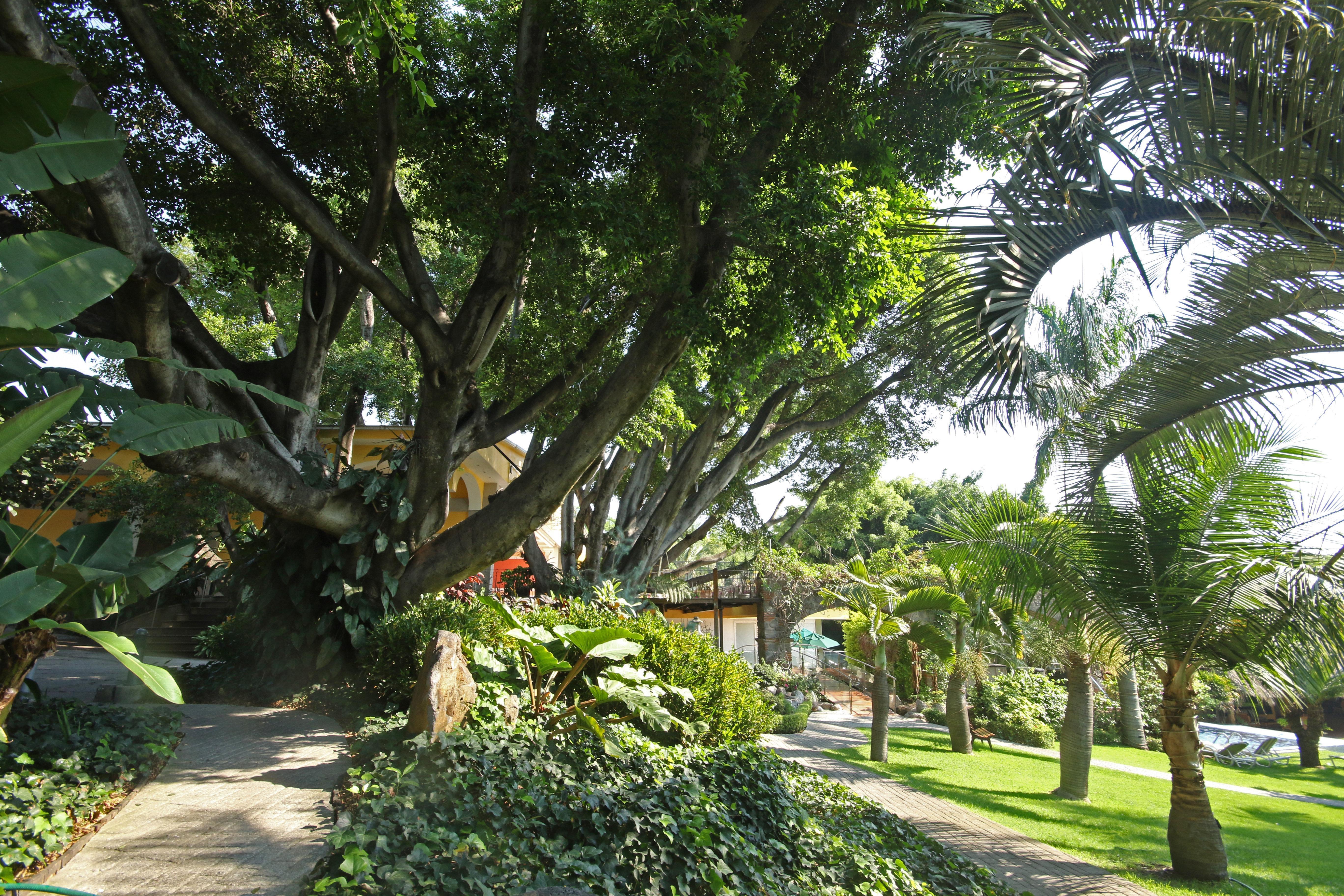 Holiday Inn Cuernavaca By Ihg Exterior photo